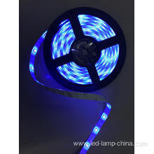 5050SMD Bule Led Strip light